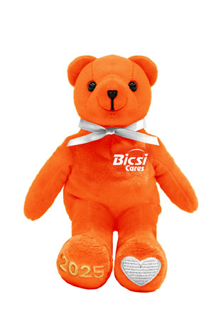 2025 Bear